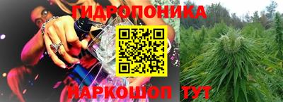 дмт Аша